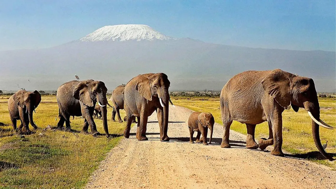 Amboseli