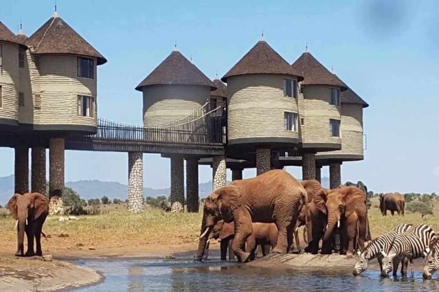 Salt Lick & Taita Hills